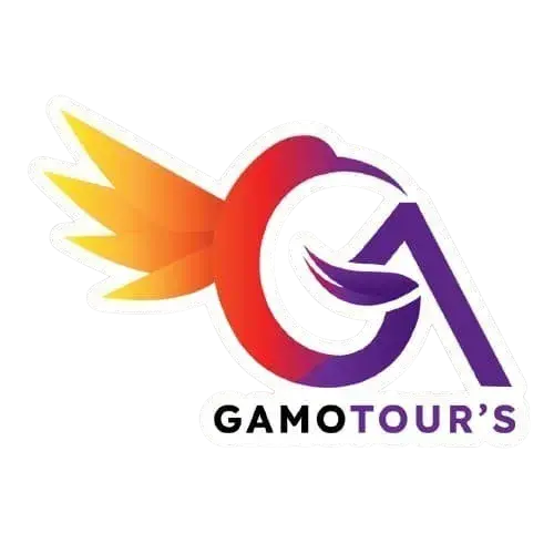 icono gamo tours travel